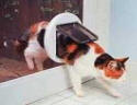Catflaps fitted, catflaps installed in DA5