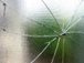 Glass Repair in Rainham